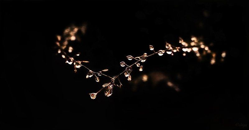 вода, капли photo preview