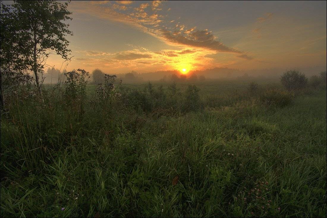 Автор: Аркадий Белов , Аркадий Белов