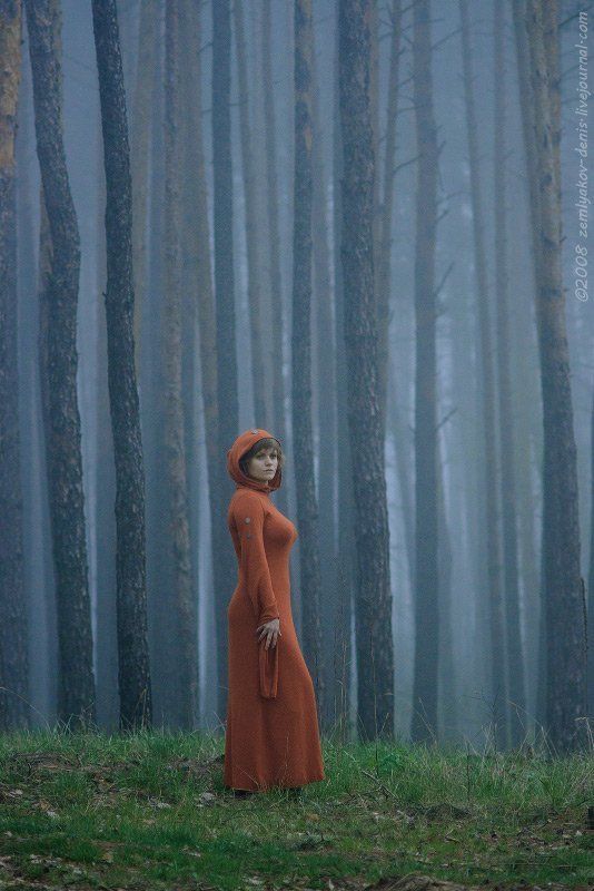 фантазия с краснымphoto preview