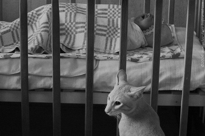 Неоднозначные мыслиphoto preview