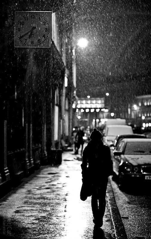 bw, carrotcat photo preview