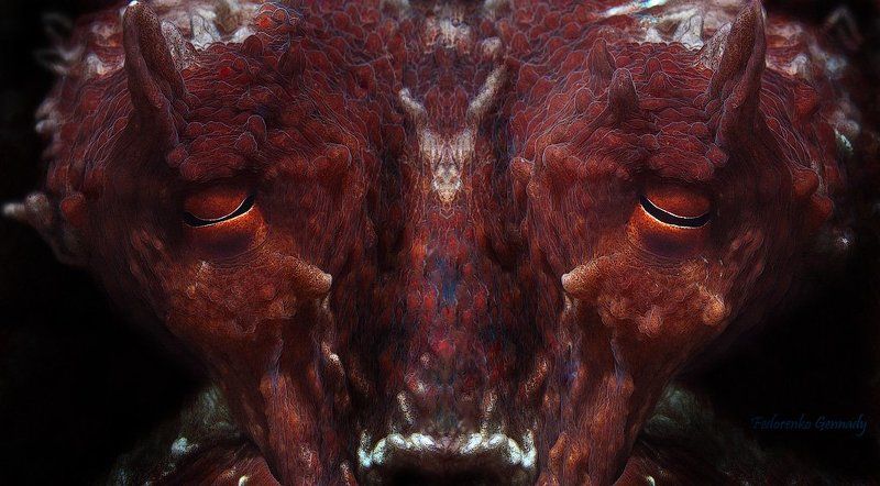 X-Filesphoto preview