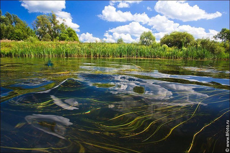 река, волна, лето, природа, пейзаж photo preview