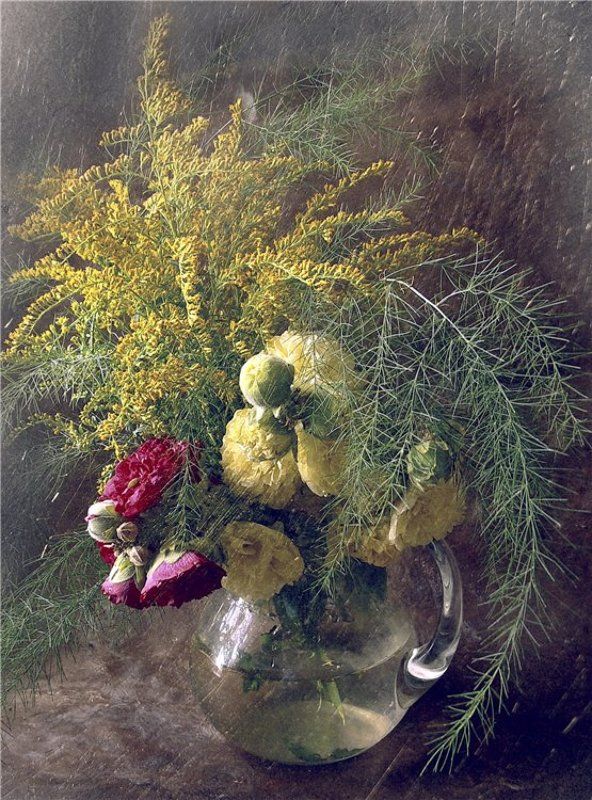 цветы, натюрморт photo preview