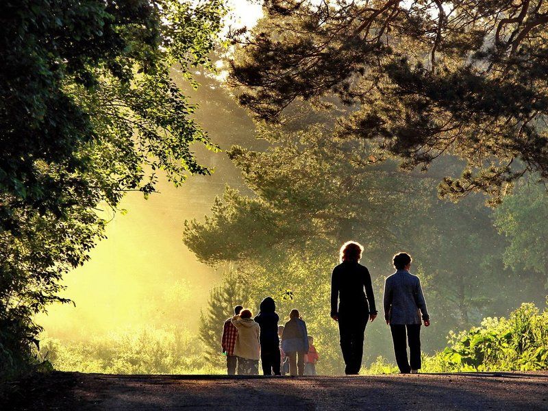 мыски, тайланд, туапсе, сибирь, природа, пейзажи, smilesday photo preview