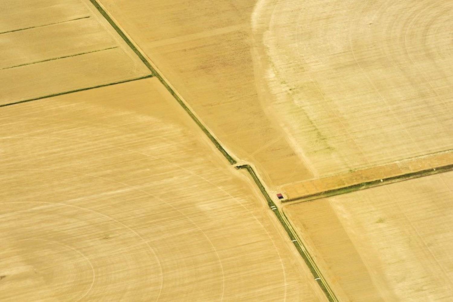 Автор: Petar Krusev landscape, yellow, krusev, aero, fields, summer, Petar Krusev