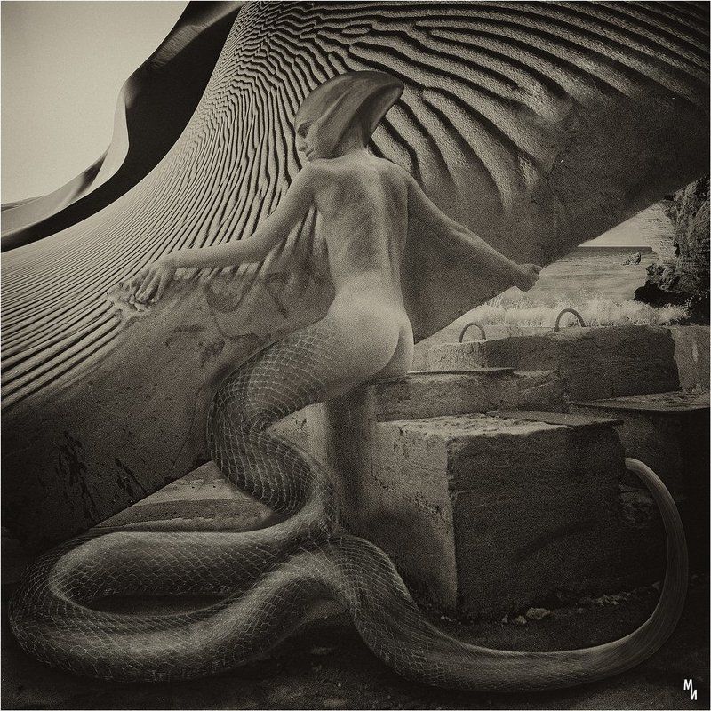 негатив, пленка, ч/б Ассольphoto preview