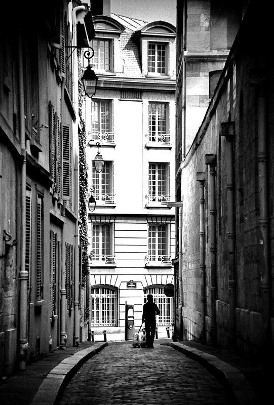 париж photo preview