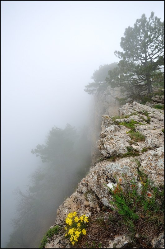 скалы, туман photo preview