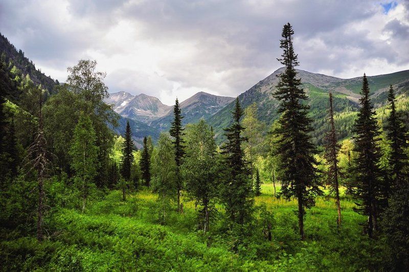 поднебесные зубья, хакасия, малашин григорий, красивый пейзаж photo preview