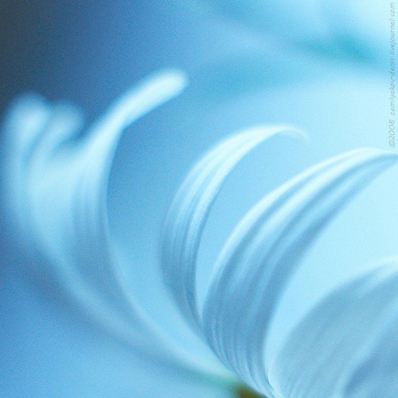 ...как ресничкиphoto preview