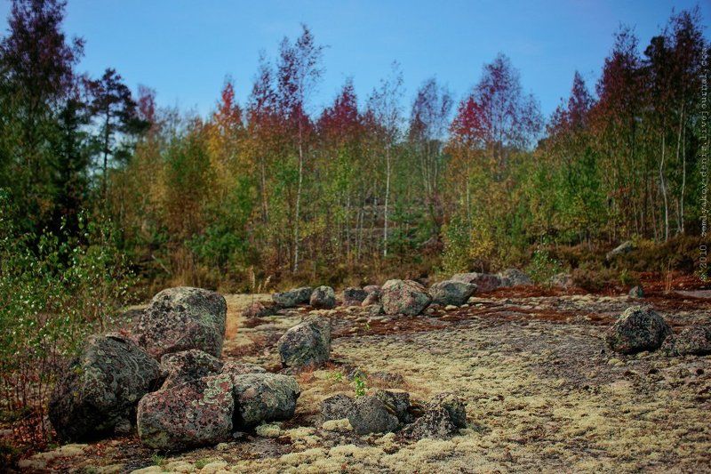 северныйphoto preview