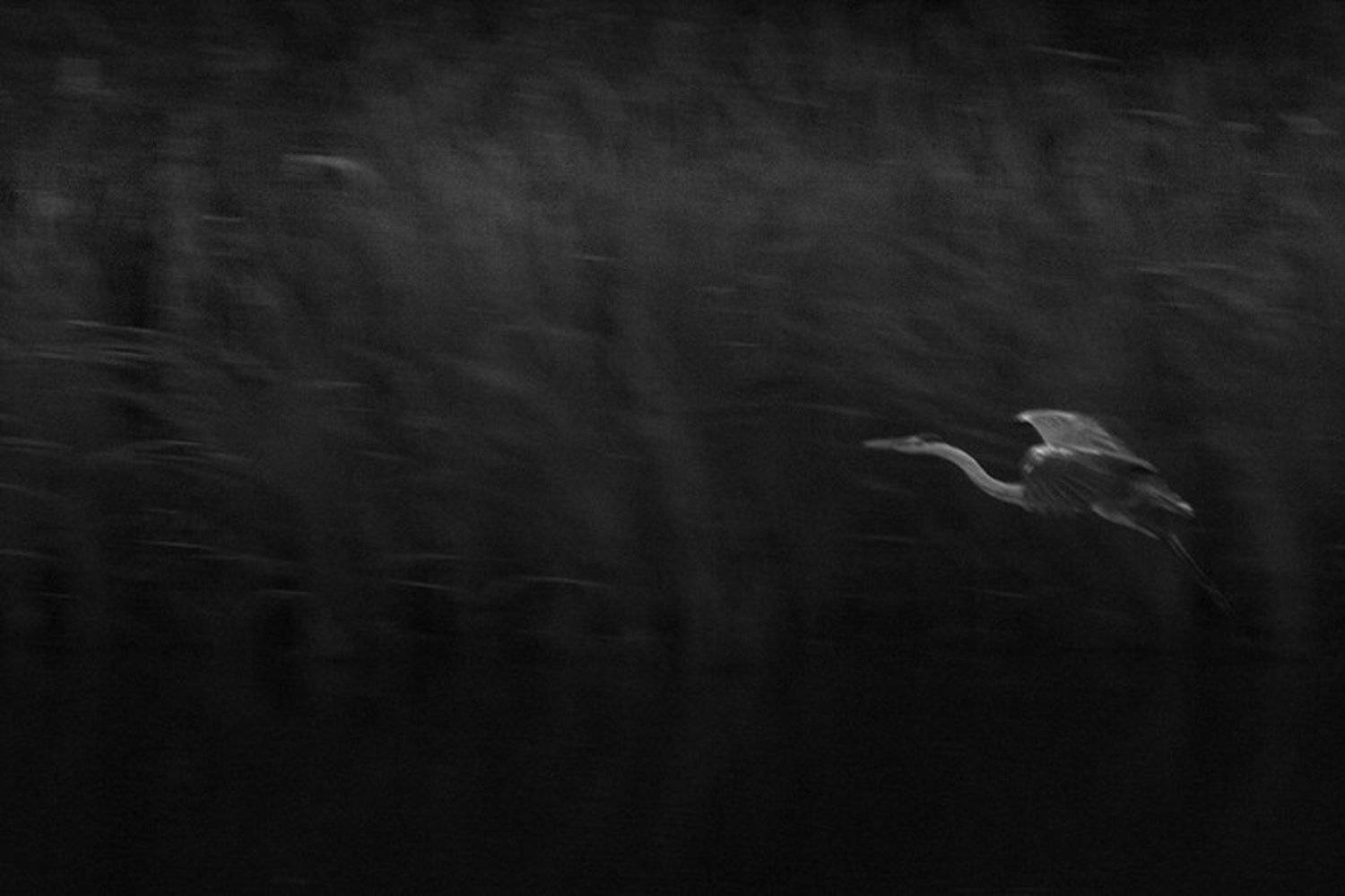 Автор: Анастасия , Анастасия