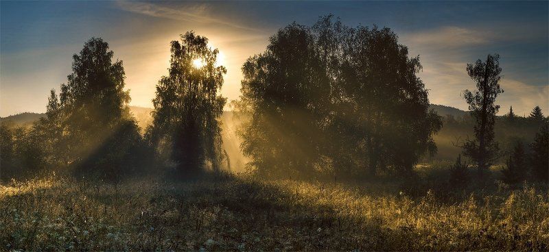 утро Утренний светphoto preview