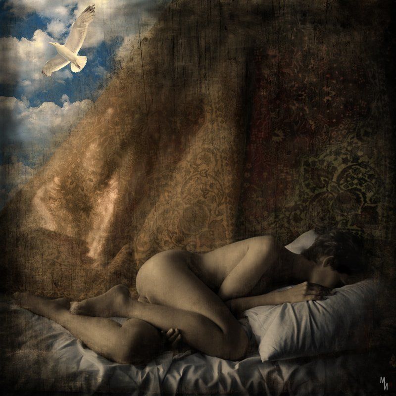 Сны о прошломphoto preview