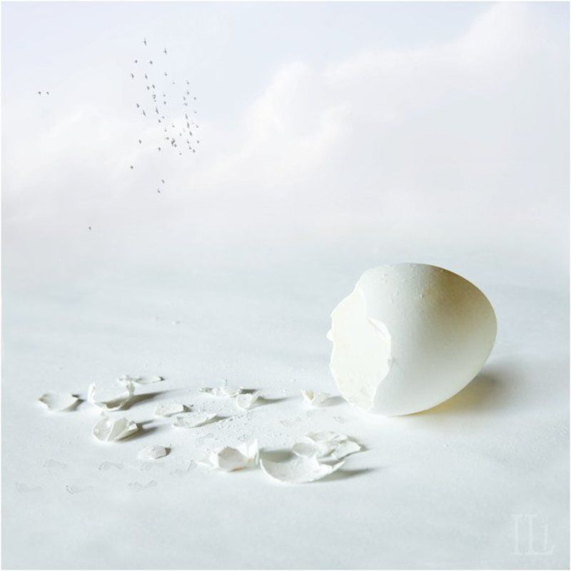 яйцо С Днем рождения Брахма!photo preview