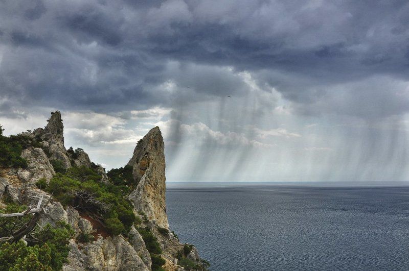 ливень photo preview