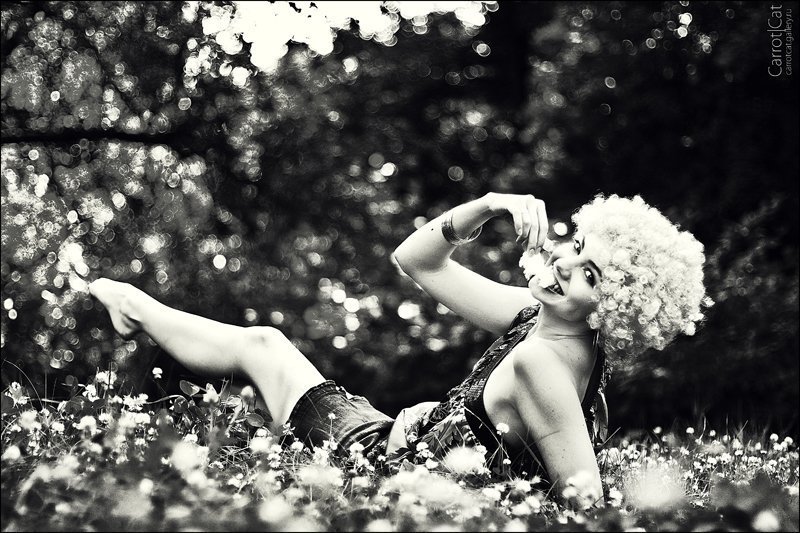 carrotcat, bw photo preview