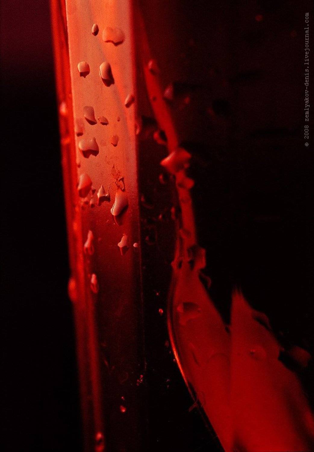 чайку ?.. ,). Автор: Земляков Денис , Земляков Денис