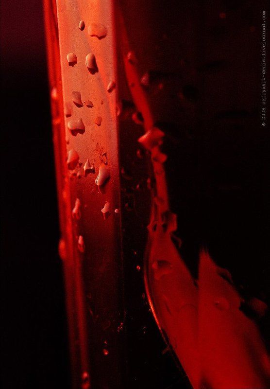 чайку ?.. ,)photo preview