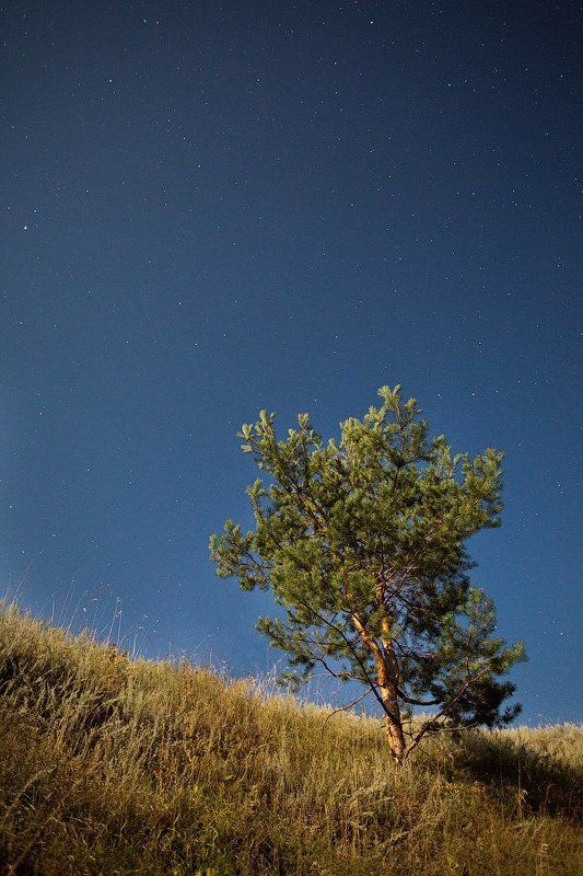 россия, тамбов, ночь, звёзды photo preview