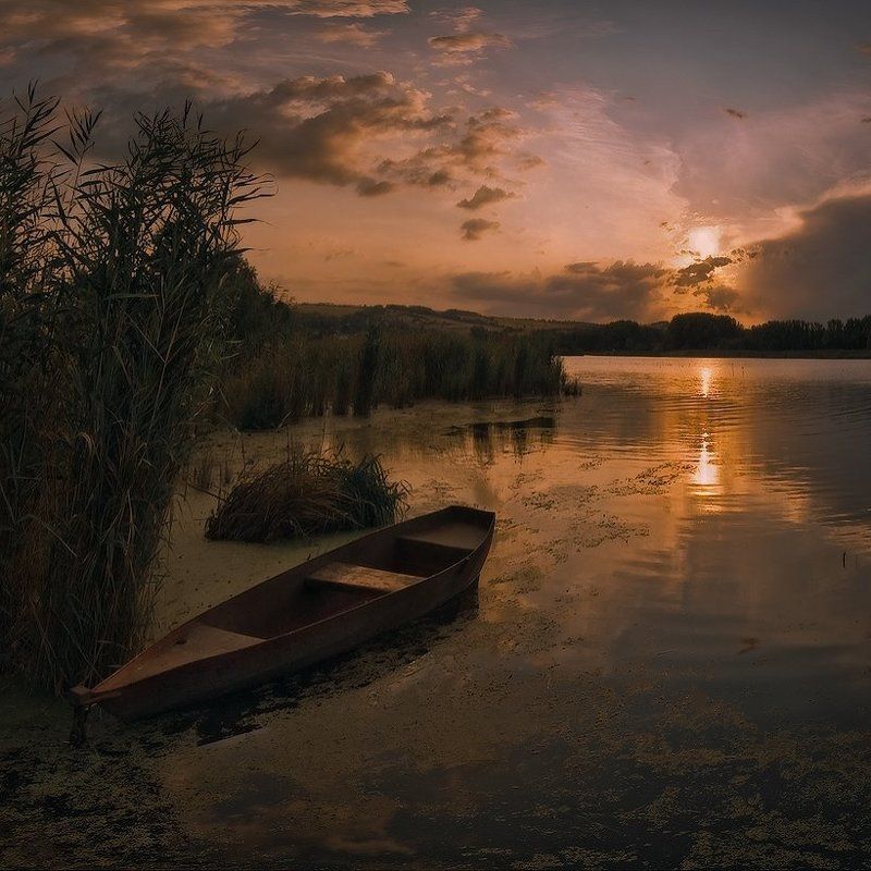 Горячий августphoto preview