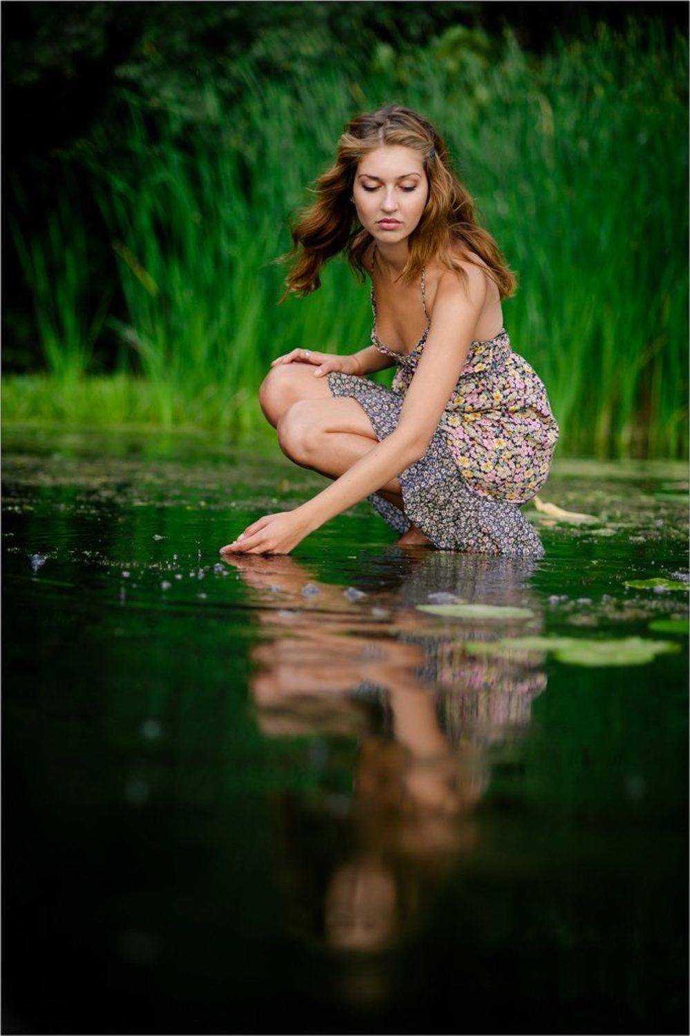 Автор: Срибный Евгений , Срибный Евгений