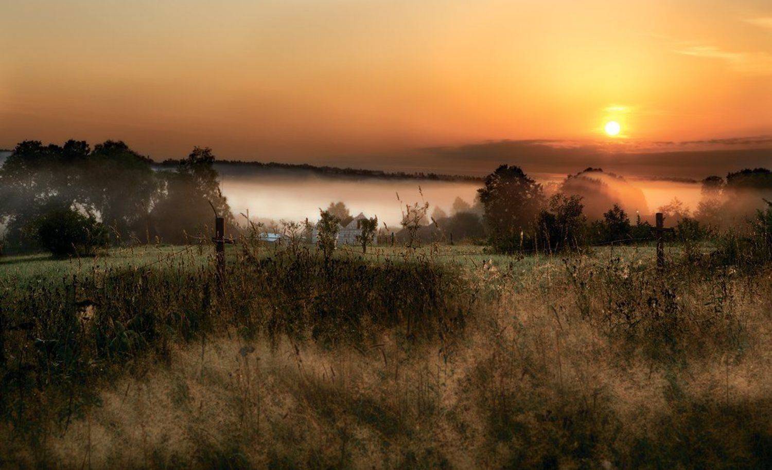 Автор: Владимир туман, рассвет, восход, деревня, трава, Владимир