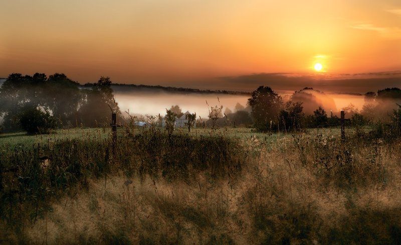 туман, рассвет, восход, деревня, трава photo preview