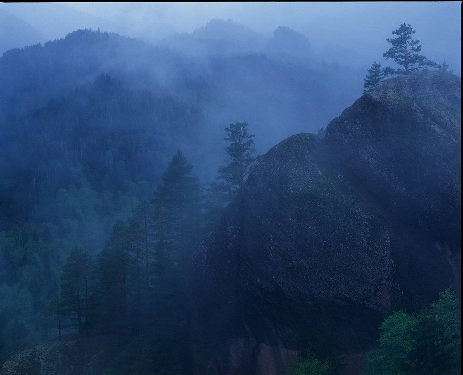 , Роман Путинцев