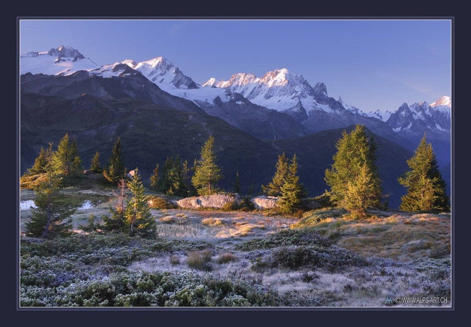 О прохладном августовском рассвете. Автор: Forest Elf , Forest Elf