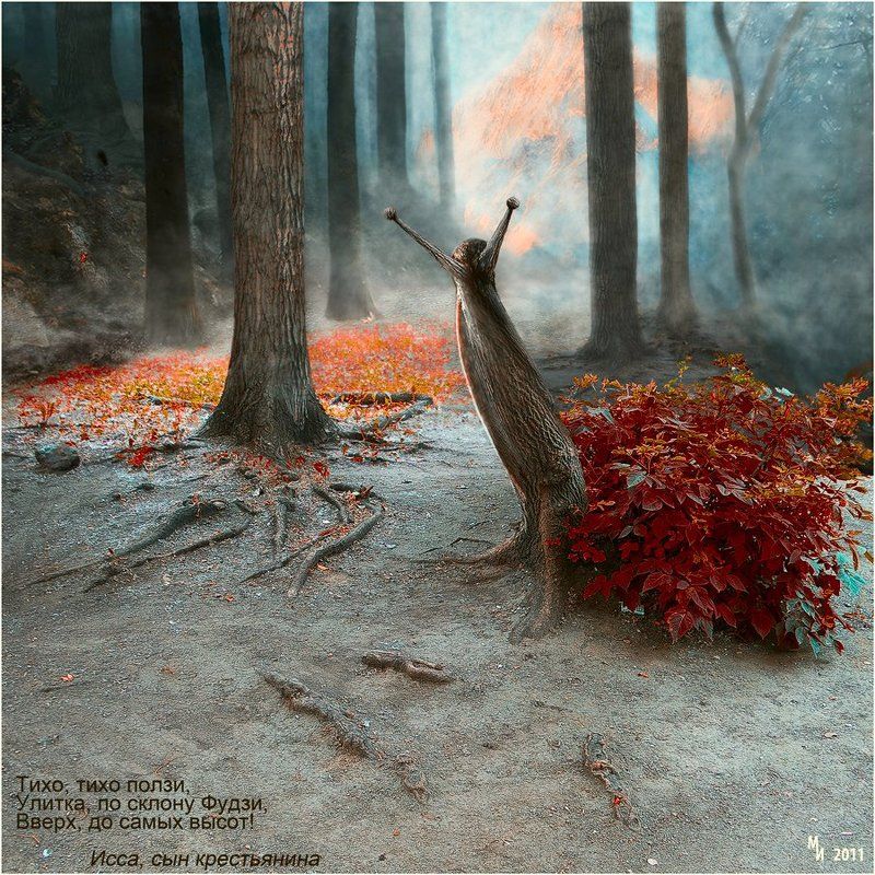 Улитка на склонеphoto preview