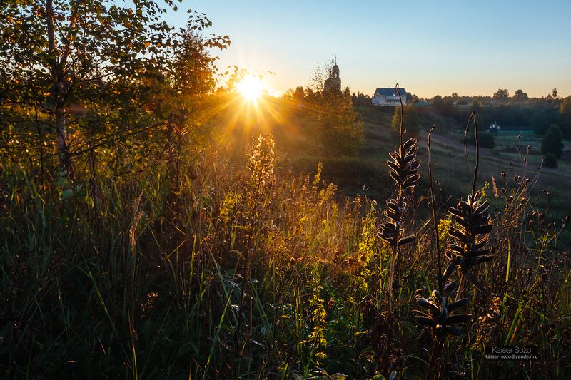 россия, радонеж, поле, травы, люпин, рассвет, силуэт, солнечные лучи Разнотравьеphoto preview