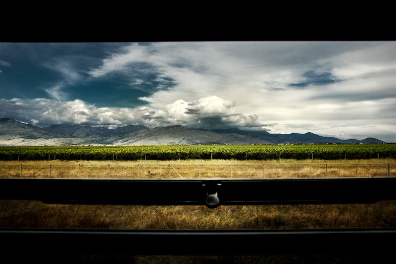montenegro, wine, grape, mountains, travel, clouds, train, fields, plantations, черногория, вино, виноград, горы, путешествия, облака, поезд, поля, плантации, Back homephoto preview