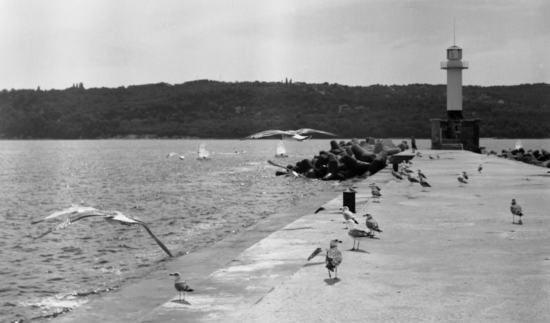 black, white, b&w, film, lighthouse, sea, summer, seagulls, varna, bulgaria, 6x6, medium, format Summerphoto preview