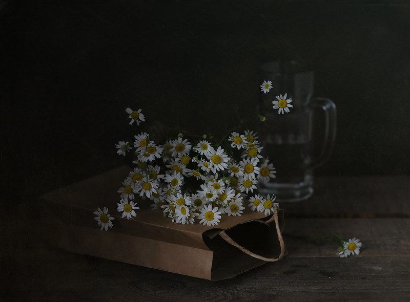 Из дачного альбома... /июль/photo preview