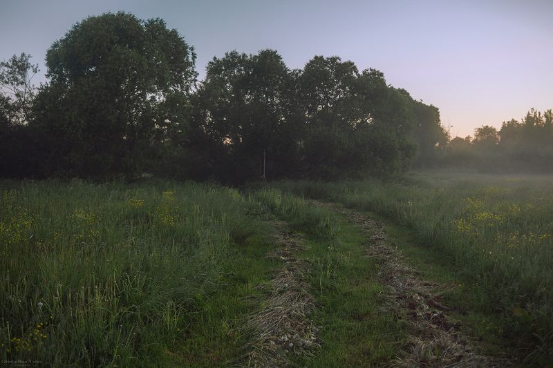 пейзаж,природа,утро,рассвет,весна,лето,дорога, ..photo preview