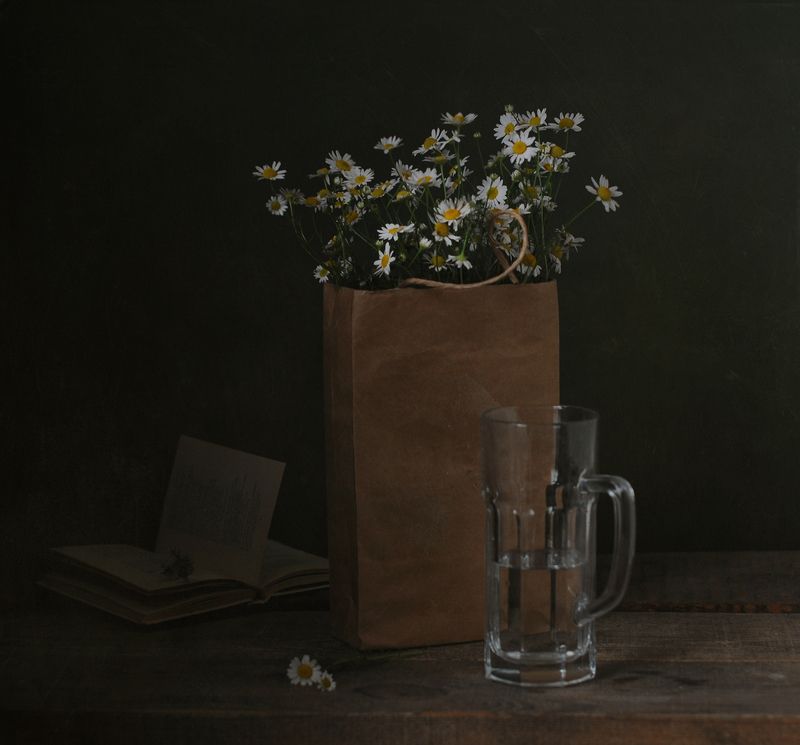 Какое лето без ромашек...photo preview