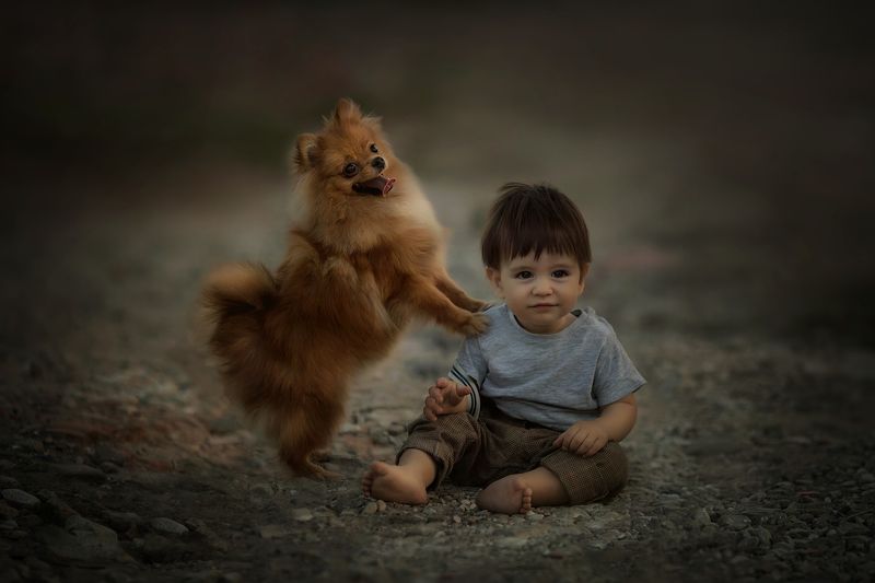 пес, рыжие, дети мой бобикphoto preview