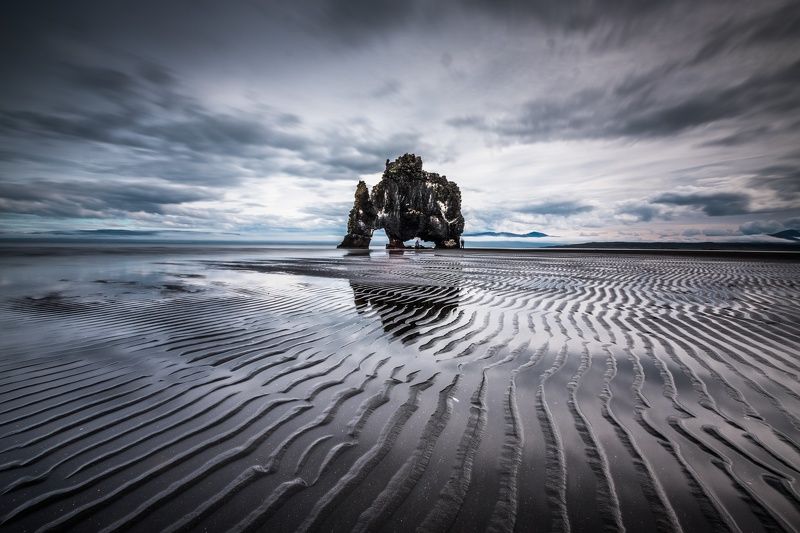 Дикое исландское животное на водопоеphoto preview