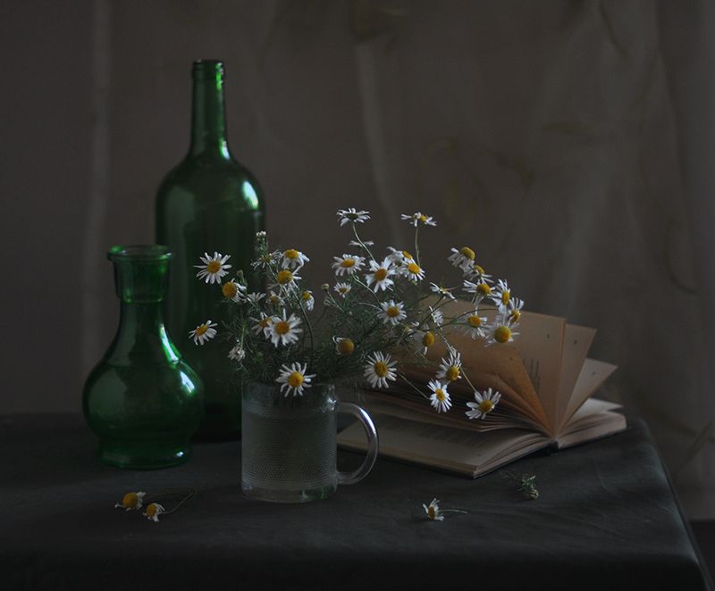 Перевернув последнюю страницу лета....photo preview