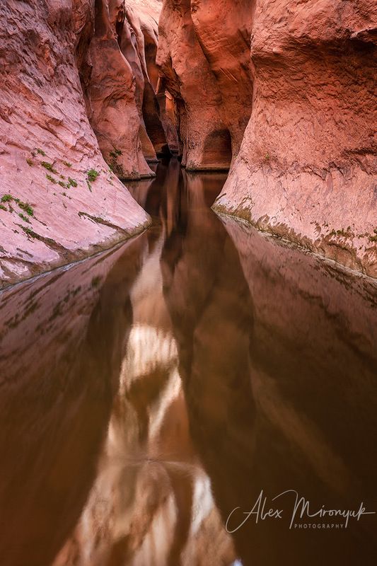 сша, аризона, юта, каньон, абстракция, путешествие Отражения в каньонеphoto preview