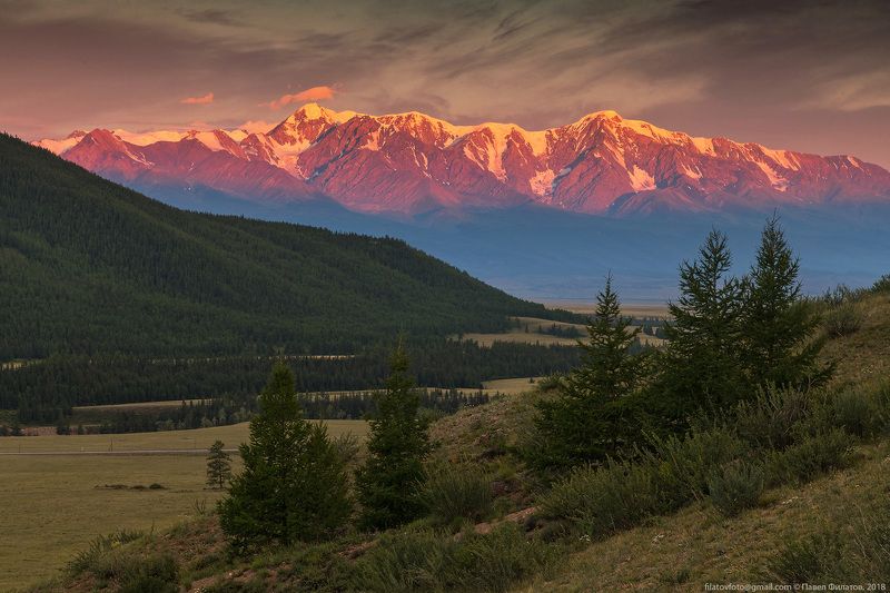 алтай, курай, северо-чуйский хребет, рассвет, степь, горы, сибирь Огненная рассветнаяphoto preview