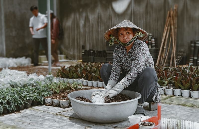 gardener, Vietnamese, portrait, canon, 6d gardenerphoto preview