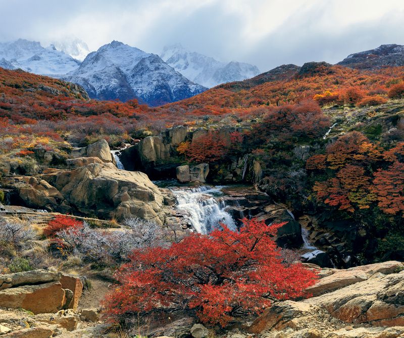 Los Glaciares National Park, autumn, mountains range, Argentina, waterfall  Цветы осени. Национальный парк Лос-Гласьярес. Санта-Крусphoto preview