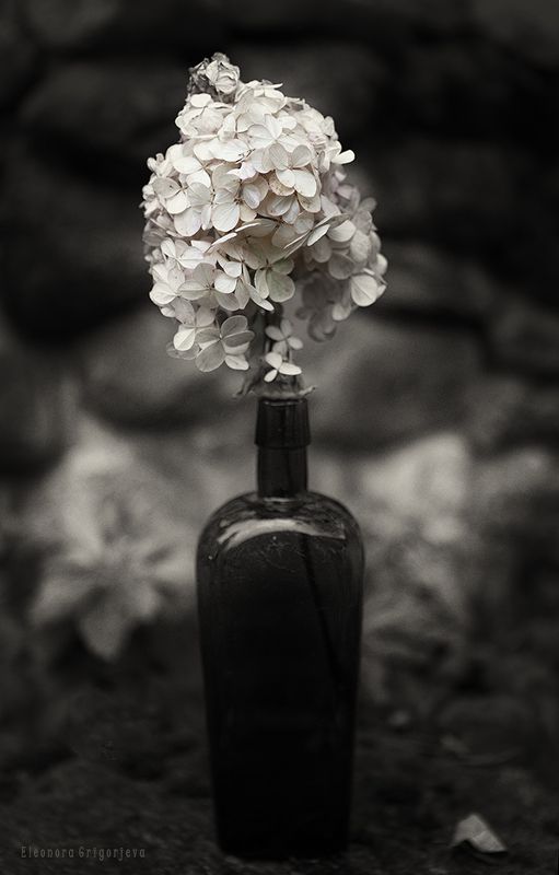 Уходило лето...photo preview