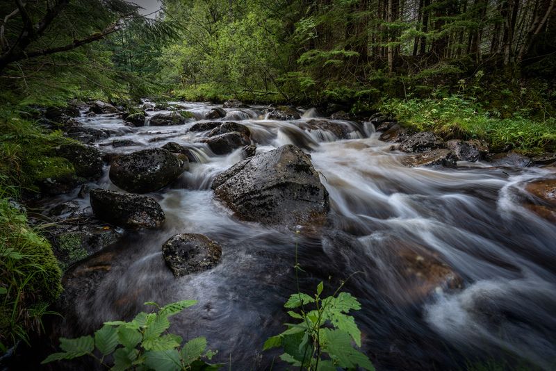 nisi filters, long exposure, landscape, nature, green, forest, river, water, nikon The Riverphoto preview