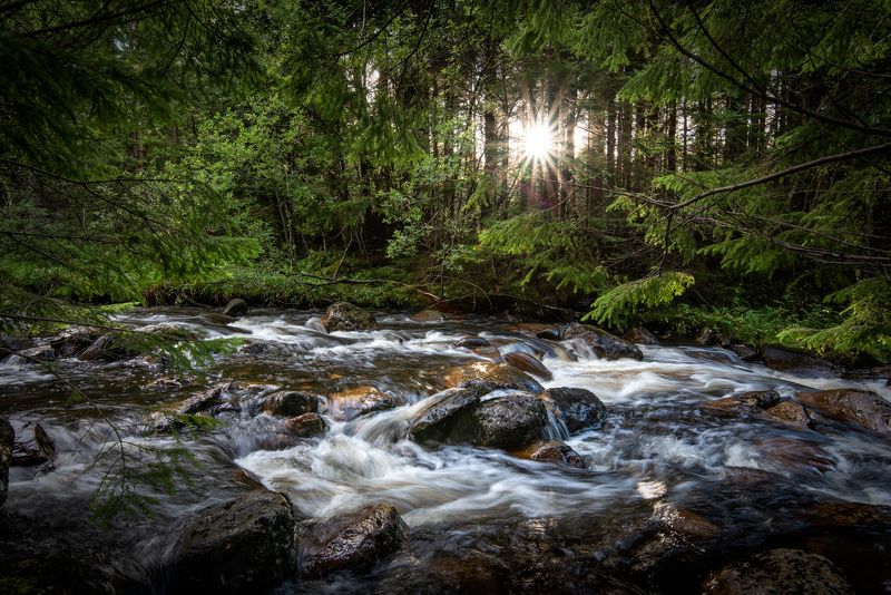 nisi filters, landscape, long exposure, forest, river, sun, green, water Last sun raysphoto preview