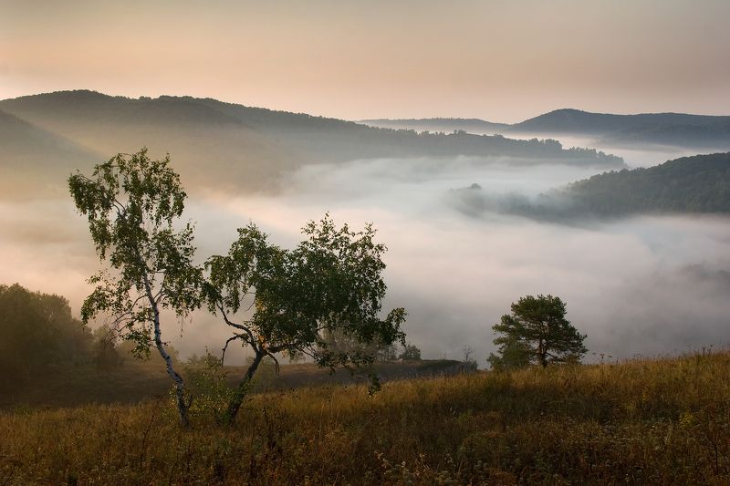 пейзаж, утро, туман,Россия, Башкирия,горы, деревья Туманное утро.photo preview