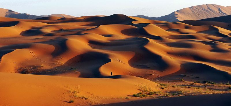 The dunephoto preview